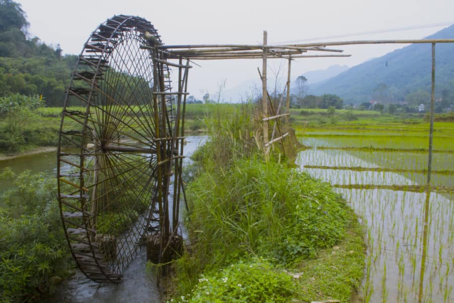 A water wheel feeding an elevated rice field in Vietnam