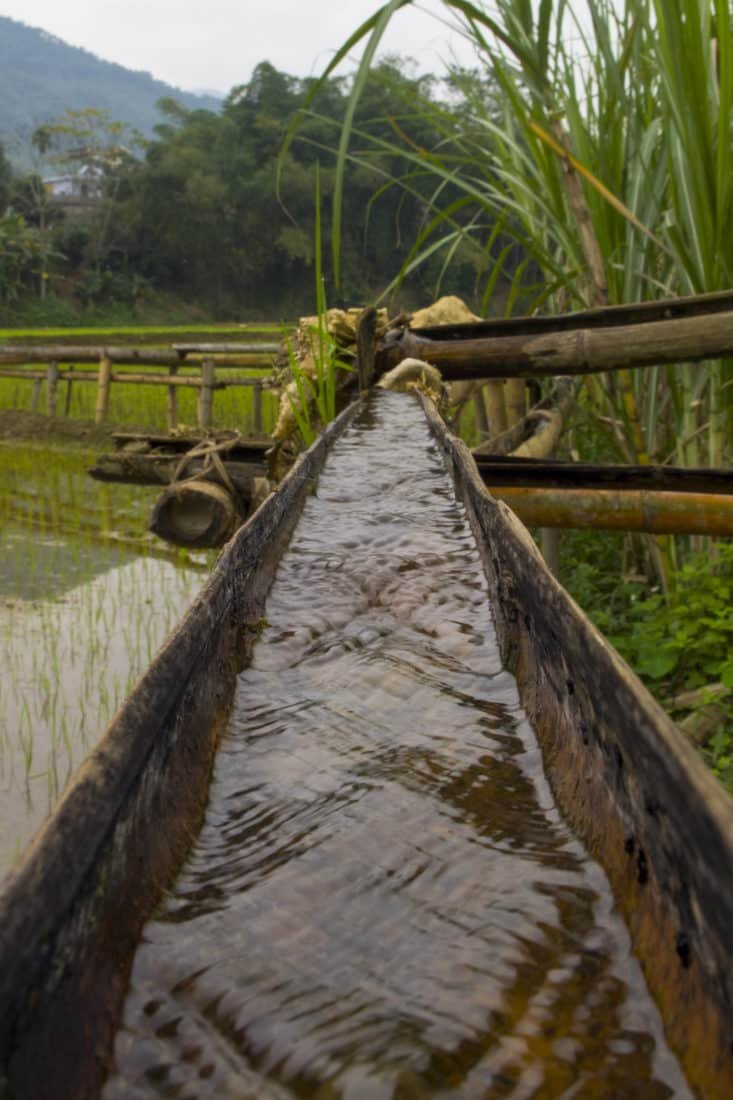 Bamboo used as an aquaduct with water flowing through it in Vietnam