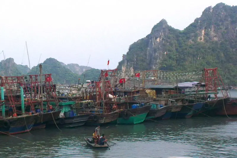 Fishing boats docked at Van Don near Ha Long bay