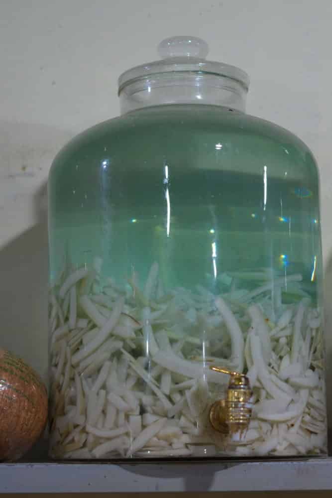 Coconut flesh  in a large glass jar of rice wine