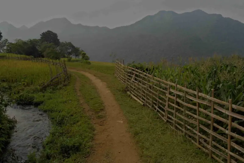 A dirt path between a stream and a cornfield in the mountains