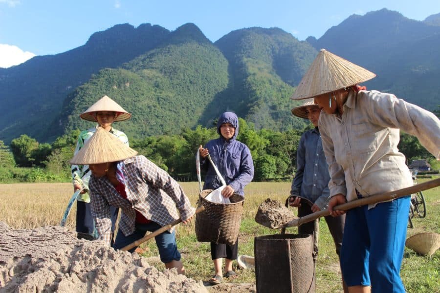 Vietnamese women working a field in Mai Chau, Hoa Binh