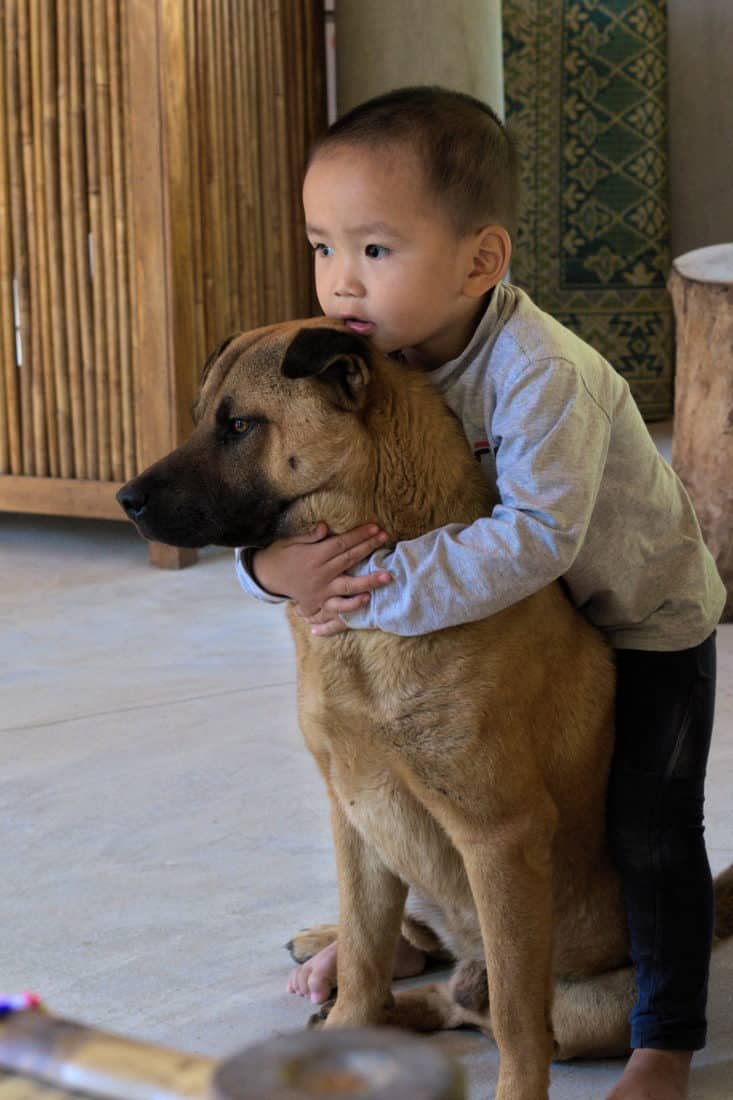 White Thai child with dog in Mai Chau, Vietnam