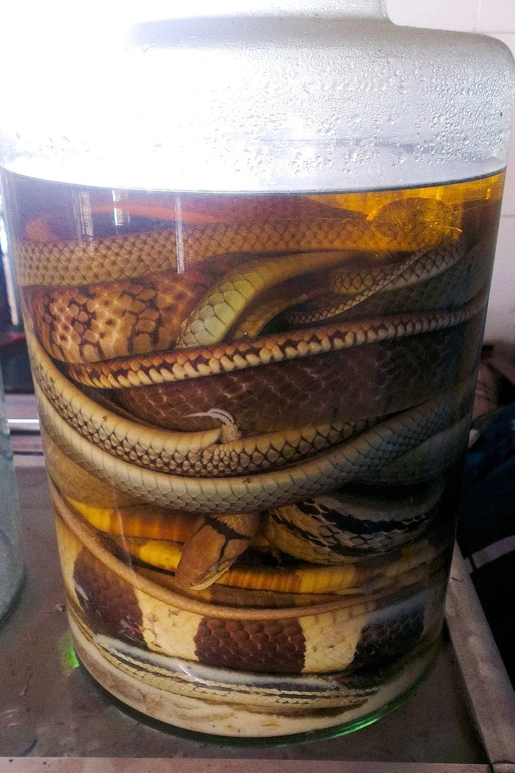 Medicinal Rice Wine – Rượu Thuốc