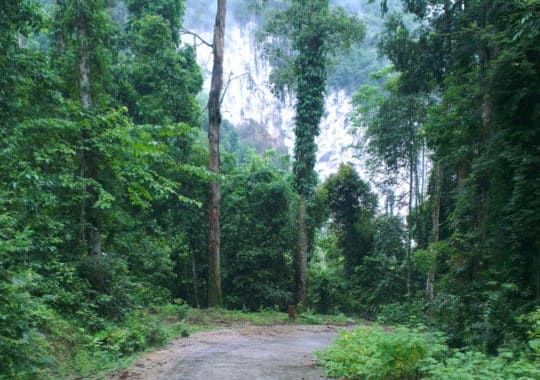 Xuân Sơn National Park – Phú Thọ