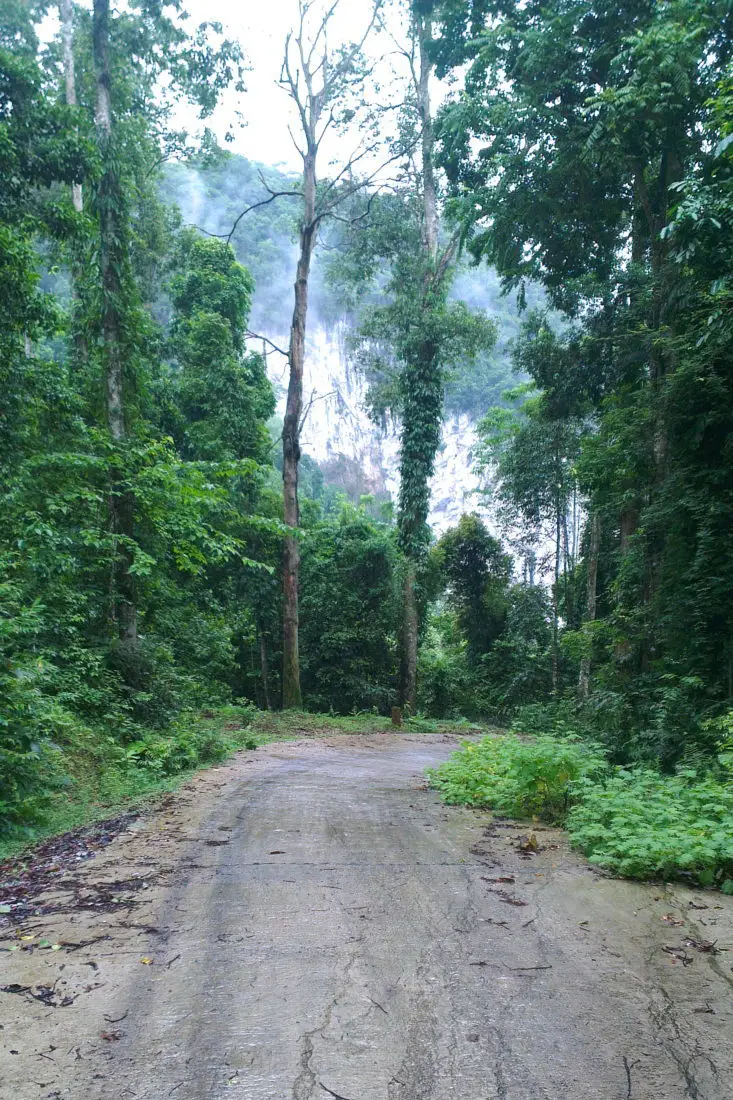Xuân Sơn National Park – Phú Thọ