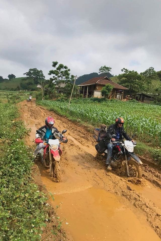 Muddy trail with a Honda  XR and CRF with dog