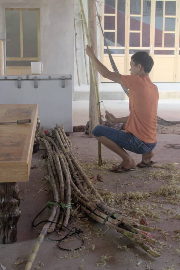A man peeling sugar cane stalk sto be pressed for juice in yen bai