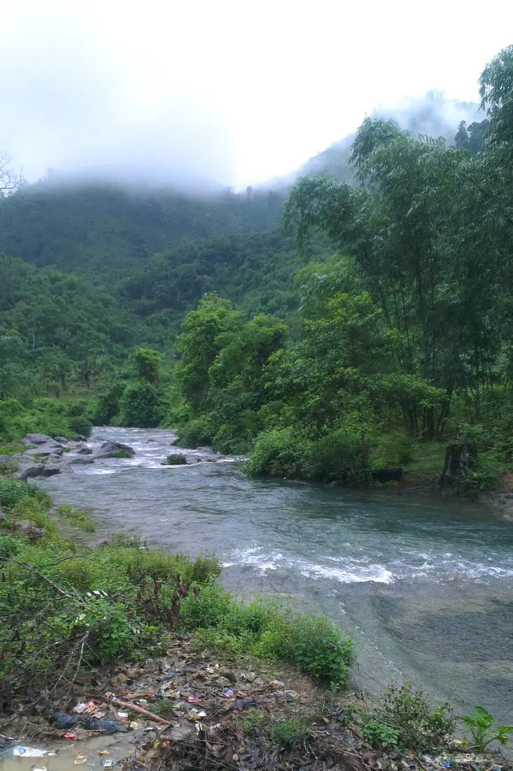 Natural spring stream in Xuan Son National Park