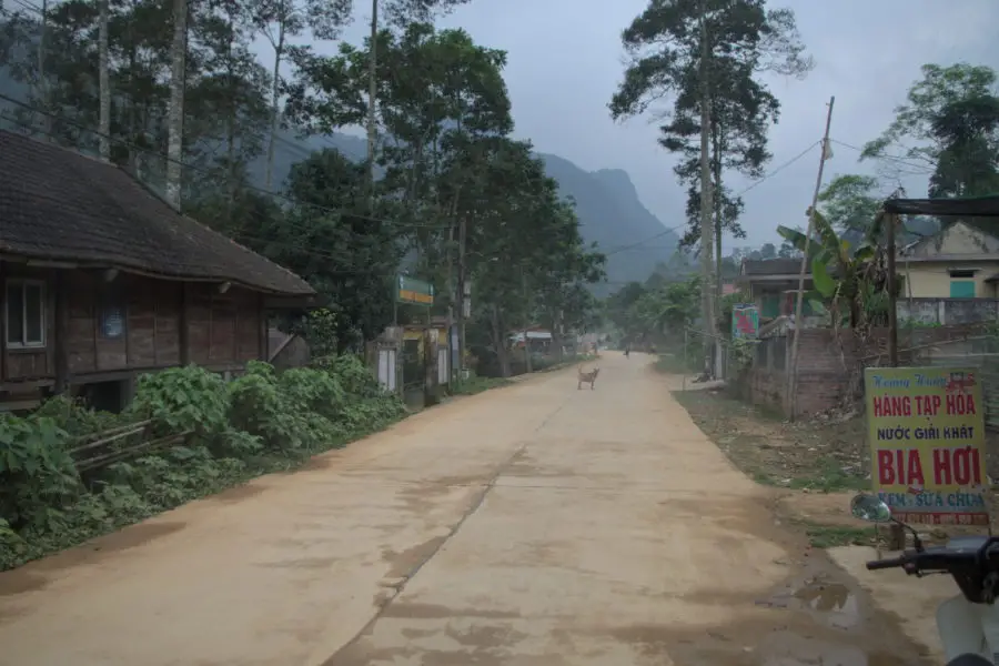 Concrete road leading through the park