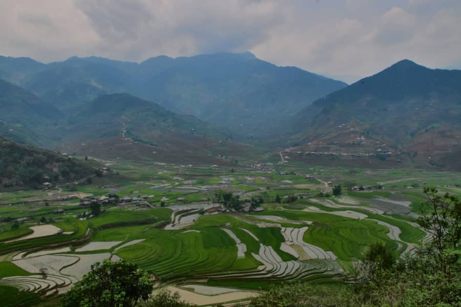 Rice farming in the mountains of Mu Cang Chai, Yen Bai