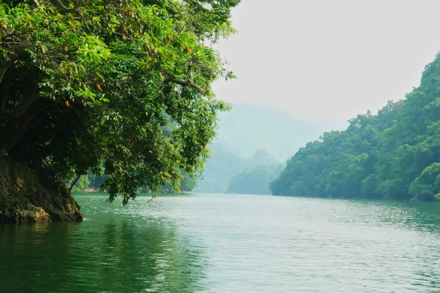 A tree overhanging Ba Be lake with jungle covered hills in the distance