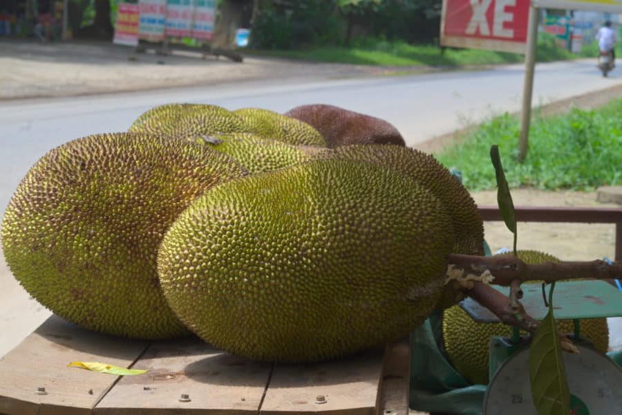 Large green jackfruit for sale on a wooden table at the side of a road