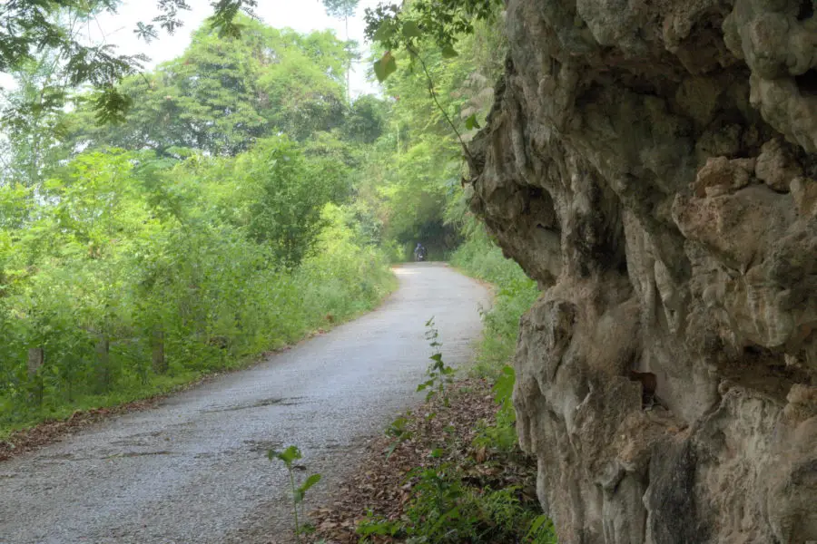 A small sealed road though the jungle with a limestone mountain face beside it.