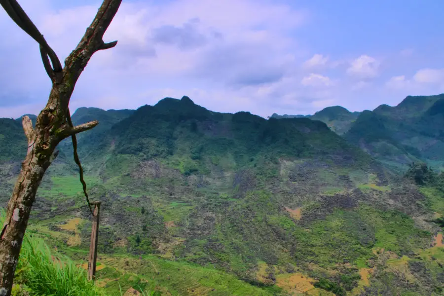 A branch holding up a powerline in the mountains of Meo Vac, Ha Giang