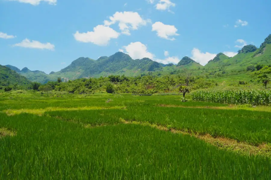 On the way to Phu Yen on a Vietnam motorbike tour