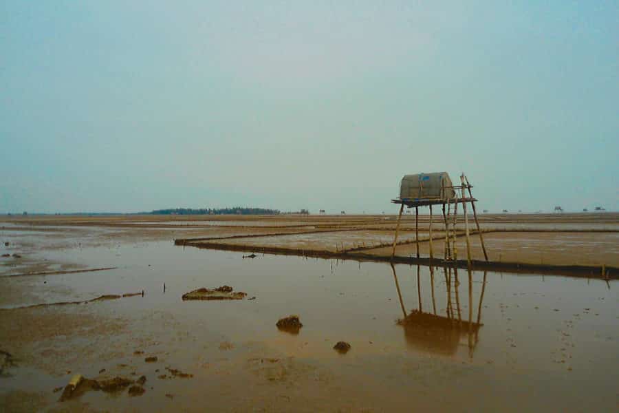 Stilt huts on the tidal mudflats of Thai Binh's coastline in Northern Vietnam