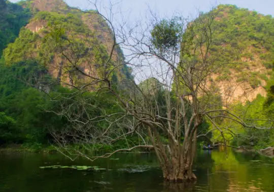 Tràng An – Boat tours caves and temples