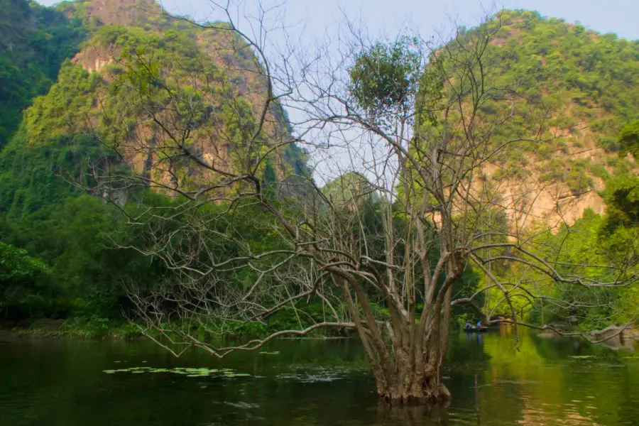 Tràng An – Boat tours caves and temples