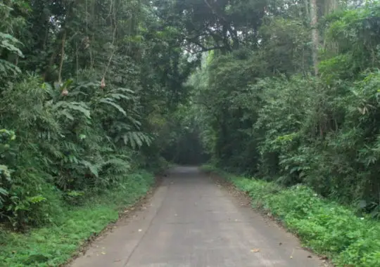 Cuc Phuong National Park