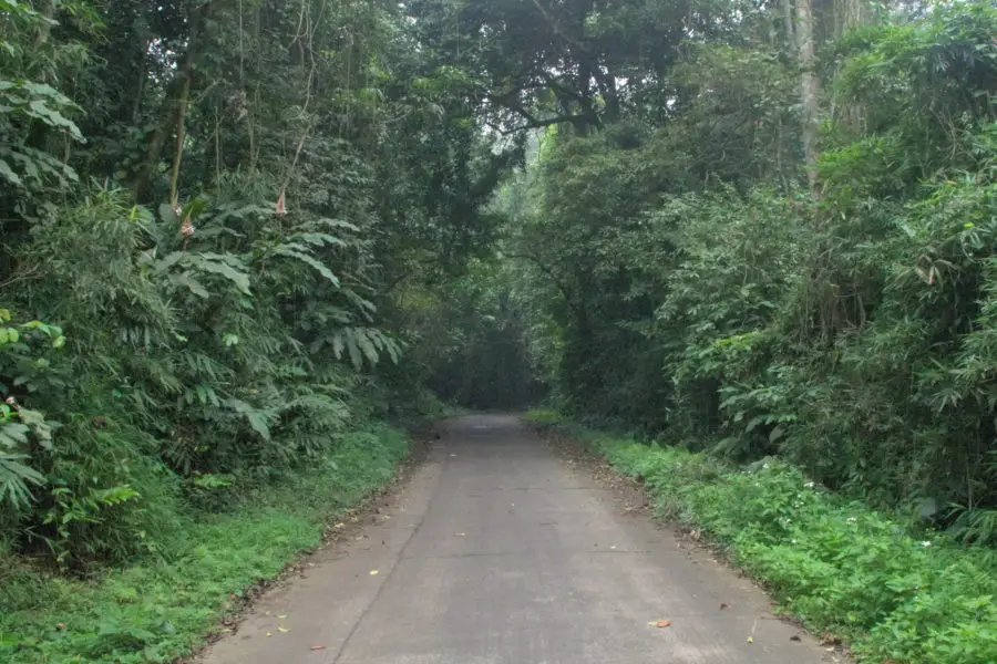 Cuc Phuong National Park