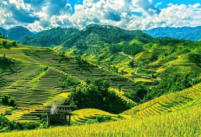 Rice terraces of Mu Cang Chai on a Motorcycle tour