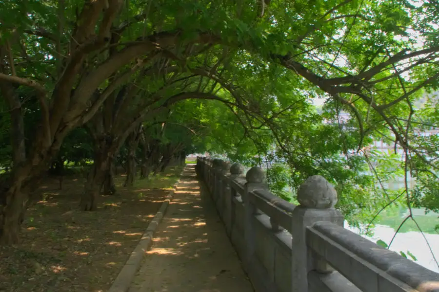 Trees overhanging a small lake walkway at Bai Dinh