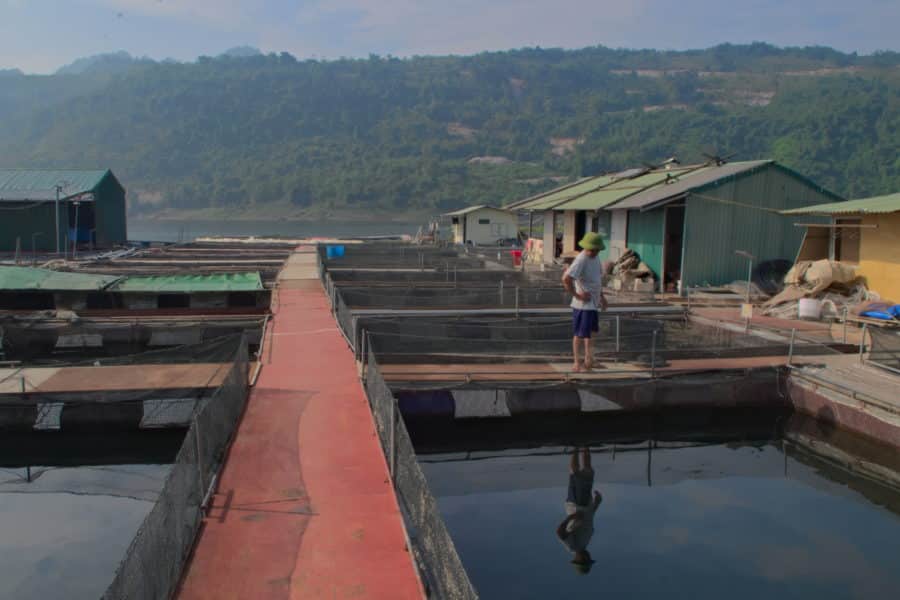 Fish farm on the song Da River, Hoa Binh in Vietnam