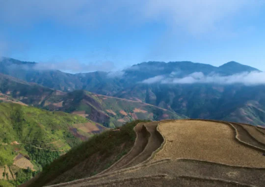 Xím Vàng – Magical Mountains