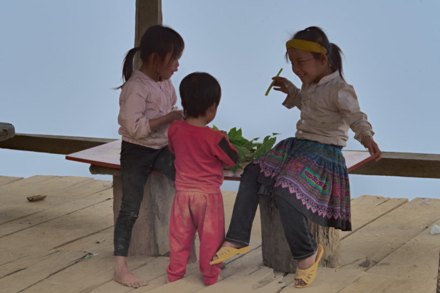 Muong children eating a mountain plant at Ta Xua, Vietnam