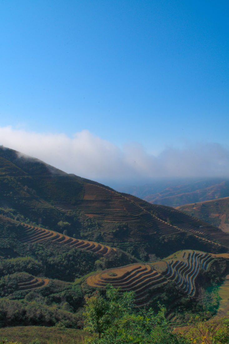 Rice terraces in the mountains of Xim Vang, Son La, Vietnam, as seen on a motorbike tour