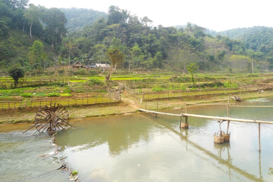 waterwheels and a bamboo bridge in Nghe An