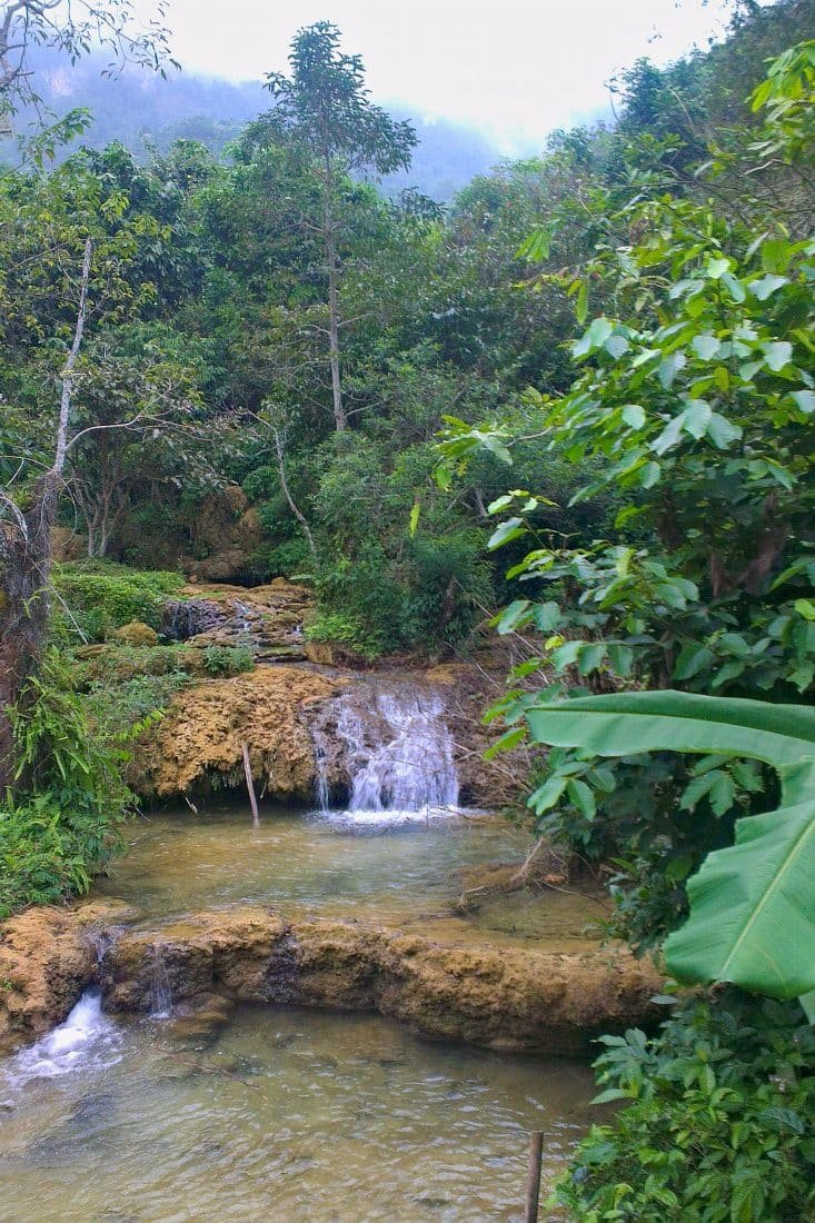 A mountain stream in Vietnam