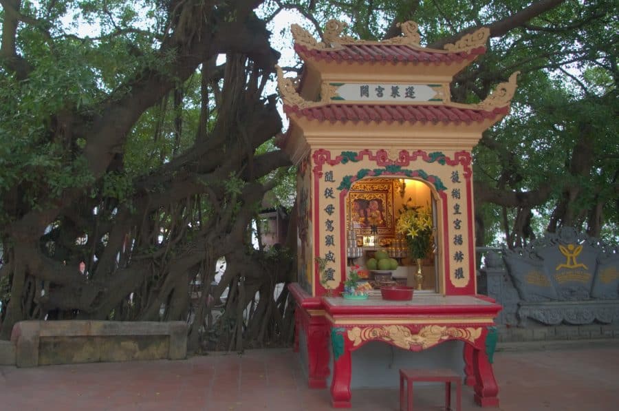 A shrine in front of an old tree