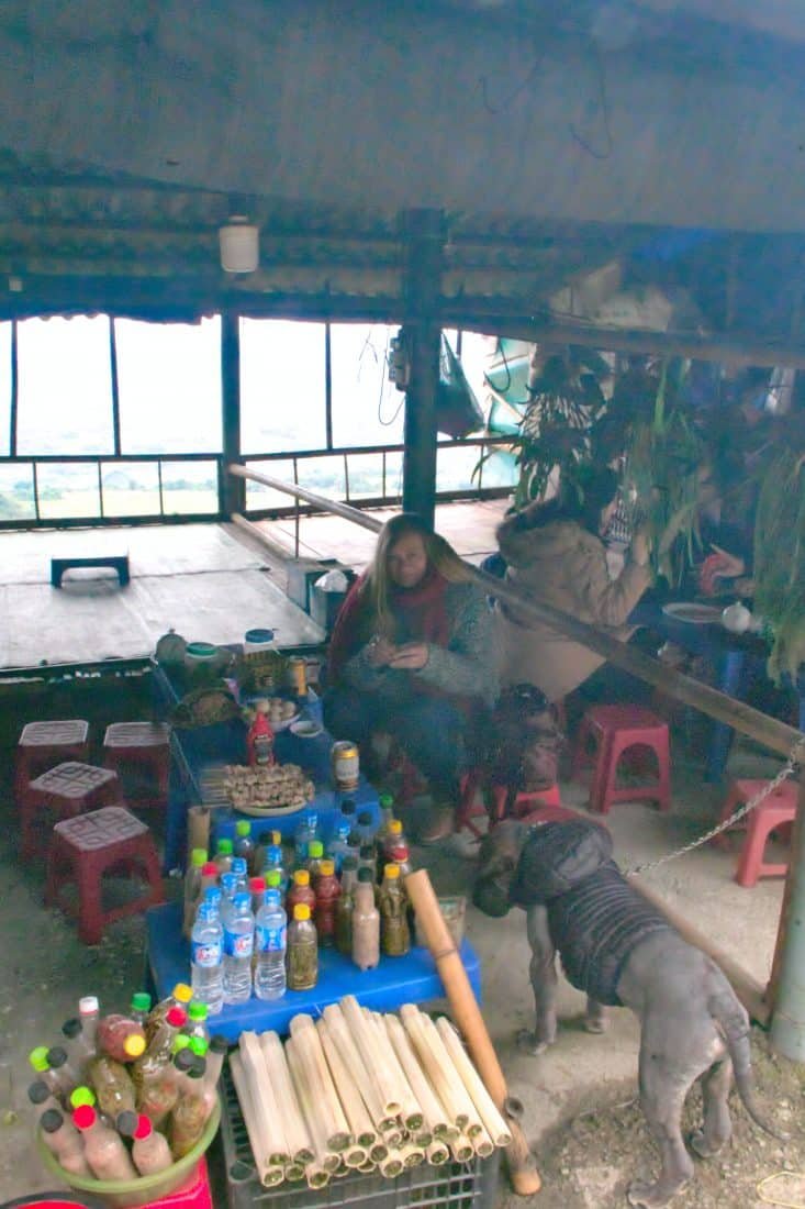 A roadside food stall in Vietnam with a dog