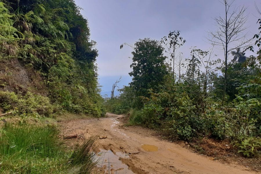 a muddy trail in the jungle of Vietnam