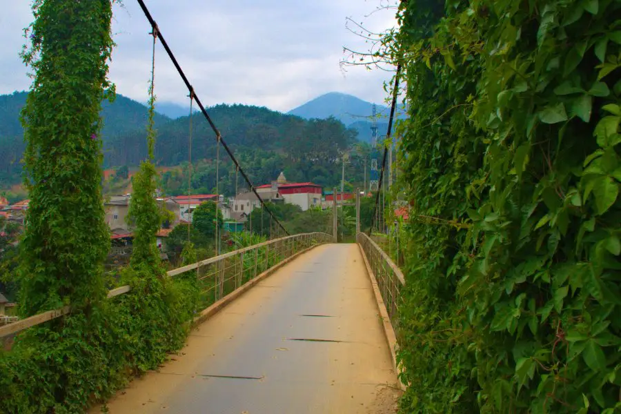 A thin metal suspension bridge covered with vines