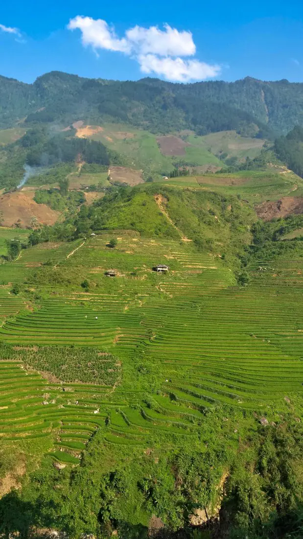 A massive green, rice terraced mountain in Vietnam