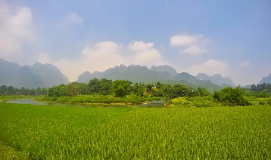 rice fields with karst mountains in the distance at Hoa Binh Province