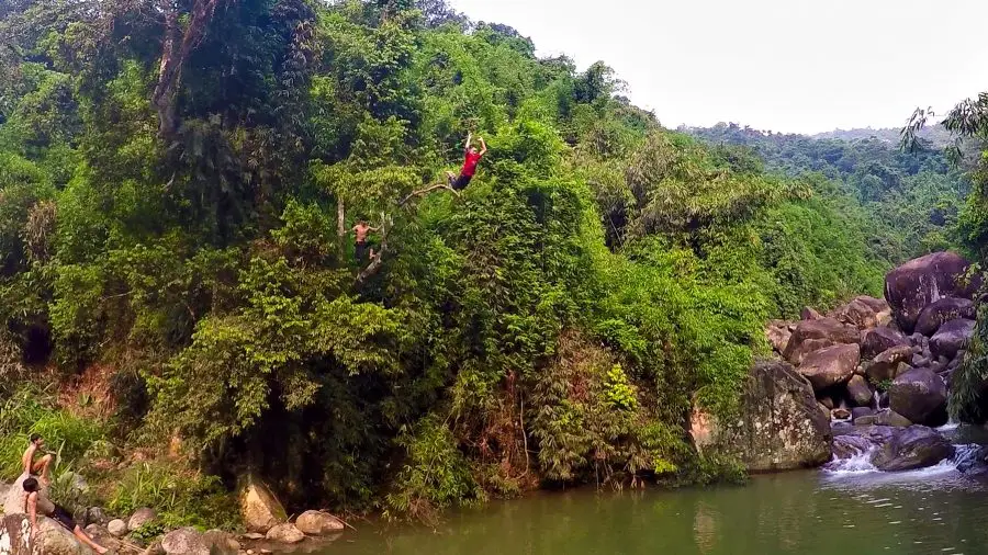 Boy with a red shirt jumping out of a tree in the jungle of Vietnam