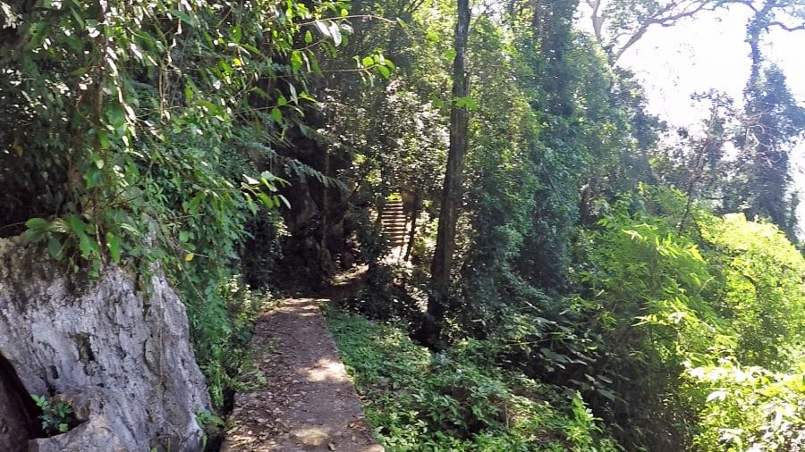 A walking path through the jungle of Vietnam near Laos